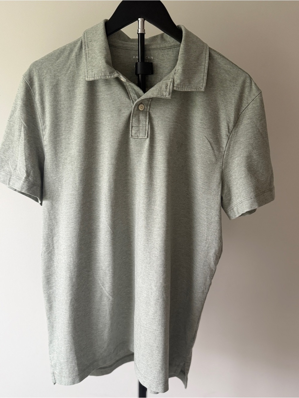 American Eagle Outfitters Men's Sage Green Polo